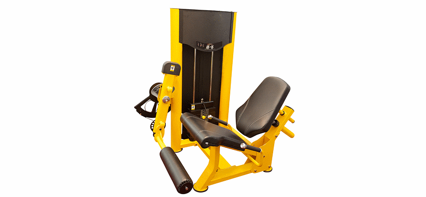 leg and hip machines