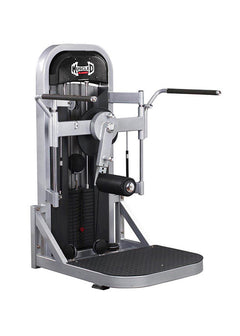Multi Hip Machine