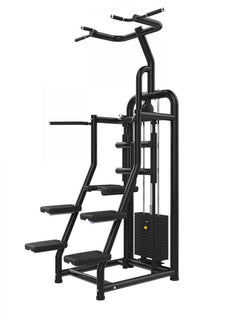 Assisted Chin and Dip Machine