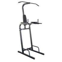 Vertical Knee Raise Chin and Dip|Pull Up Bar|Arm Handles