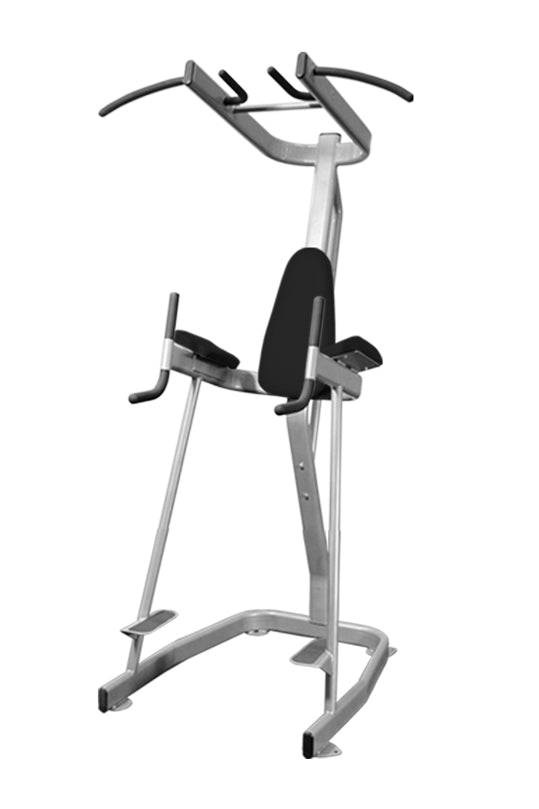 Vertical Knee Raise and Pull Up Station