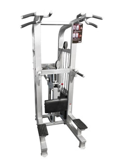 Dual Assisted Chin Dip Machine|