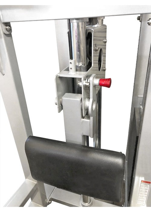 Dual Assisted Chin Dip Machine|