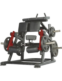 Kneeling Leg Curl