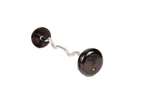 Troy Barbell Pro Style Curl Bar |