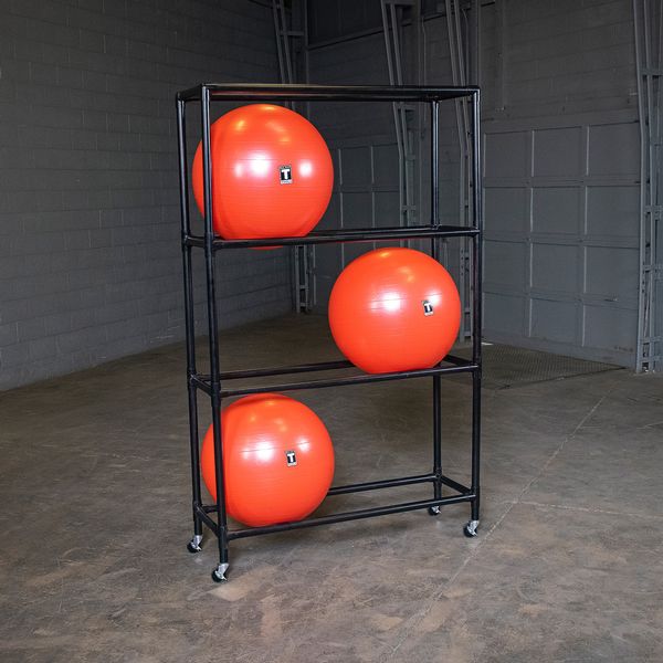 Ball Rack Loaded|Stability Ball Rack