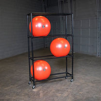 Ball Rack Loaded|Stability Ball Rack