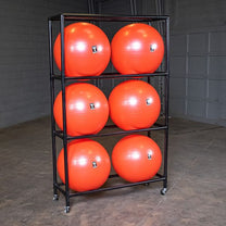 Ball Rack Loaded|Stability Ball Rack