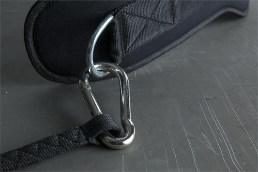 Dip Belt |Dip Belt Detail