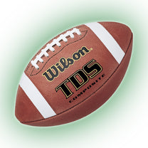 Wilson TDS Composite Football