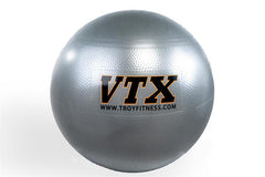 75cm Stability Ball Silver