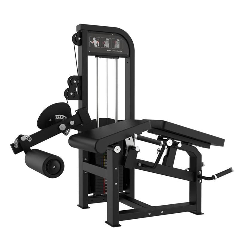 Leg Extension and Prone Leg Curl