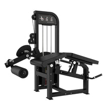 Leg Extension and Prone Leg Curl
