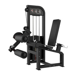 Leg Extension and Seated Leg Curl