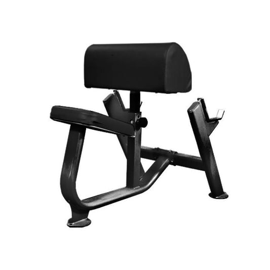 Preacher Curl Bench