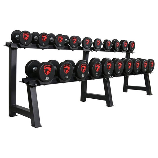 10 Pair Dumbbell Rack|