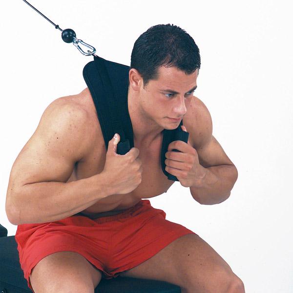 Body-Solid Tools Ab Crunch Harness|