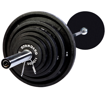 USA Sports Olympic 500lb. Weight Set
