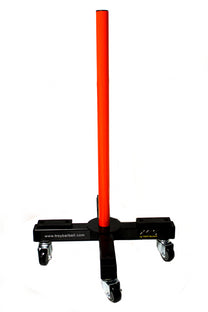 Rolling Bumper Plate Rack|