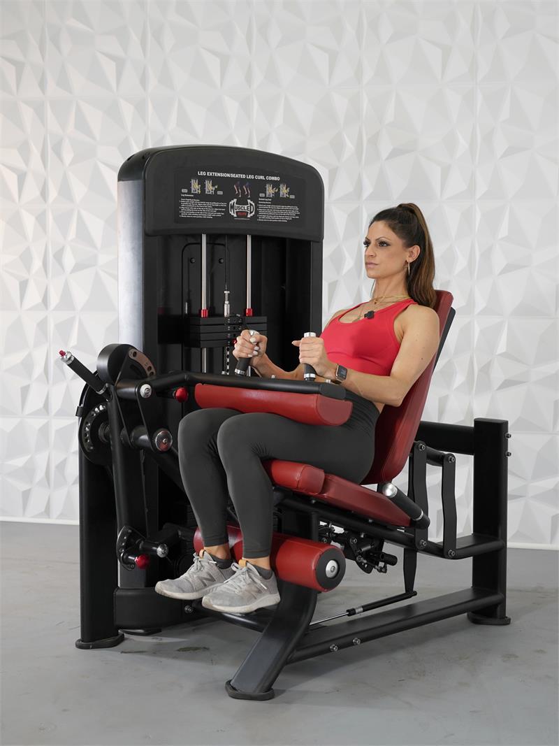 Leg Curl and Extension|Leg Curl|Leg Extension|Leg Curl