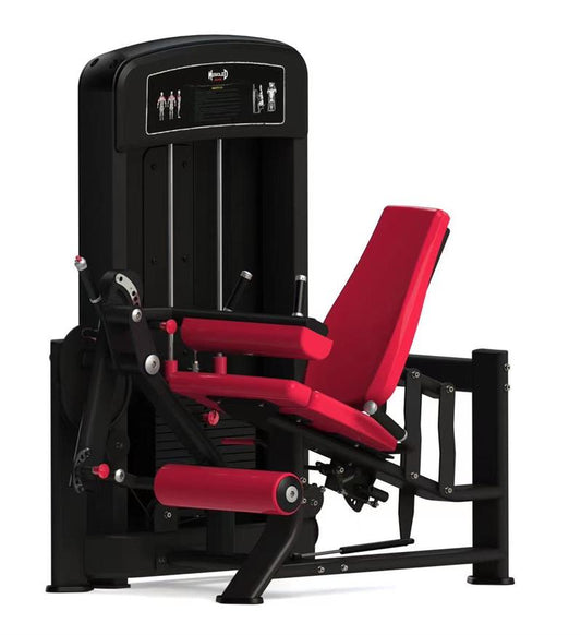 Leg Curl and Extension|Leg Curl|Leg Extension|Leg Curl