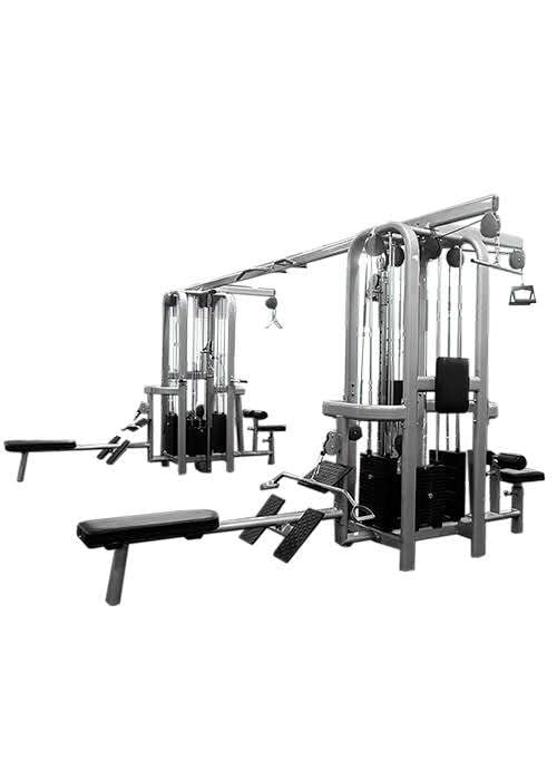 Jungle Gym|