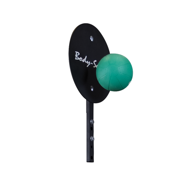 Ball Toss Target|