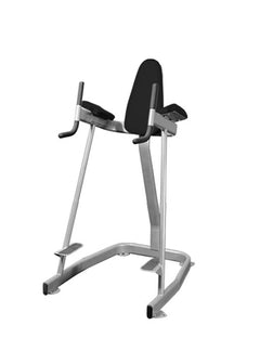 Vertical Knee Raise