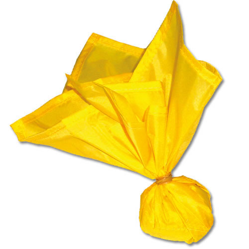 Official's Penalty Flag