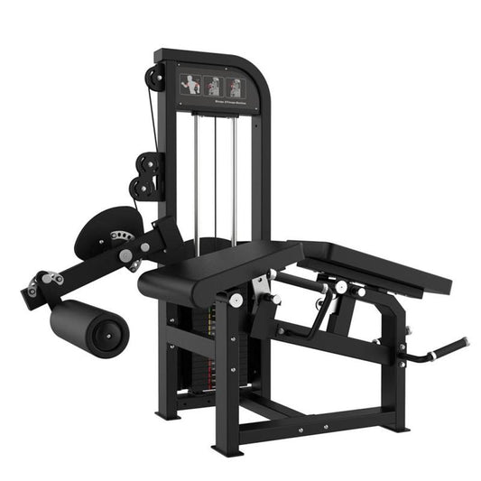 Leg Extension and Prone Leg Curl