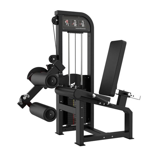Leg Extension and Seated Leg Curl