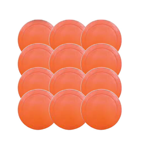 9'' Orange Spots/Markers