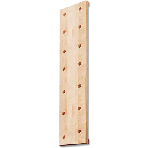Peg Board - Vertical Jr/High School