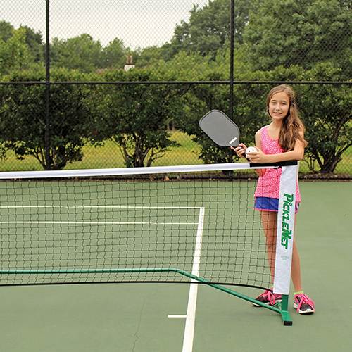 Pickleball net|Carrying case|Court view